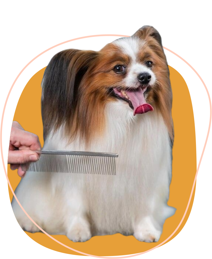 grooming